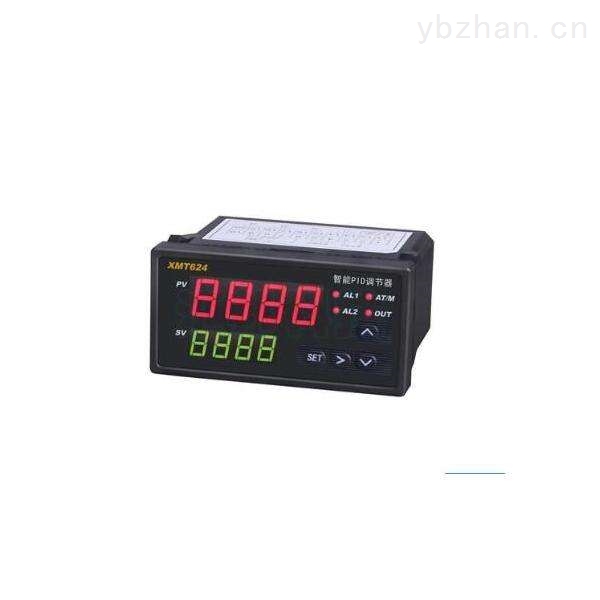 通用雙通道智能數顯儀